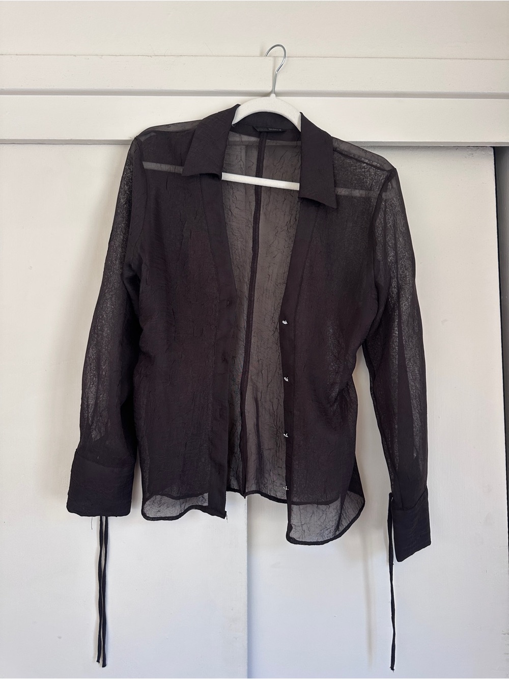Zara Sheer Black Button-Down Blouse